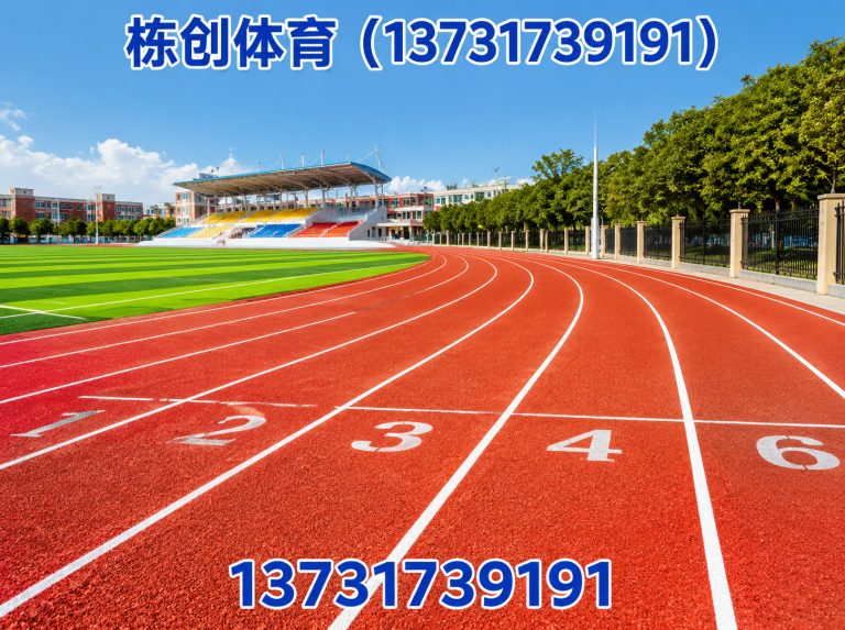 肃宁县体育设施工程展示图